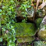 ...che chiudono un�apertura nella roccia. Si tratta di una grotta sotterranea menzionata nell�originario atto di acquisto dei terreni del 1880, ma purtroppo non perlustrabile